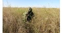 Маскировочный халат Taganrog Кикимора – купить по цене 3550 руб. в интернет-магазине в городе Екатеринбург картинка 13
